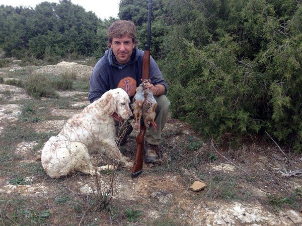 setter becaderos navarra, cachorros setter navarra, setter becada,