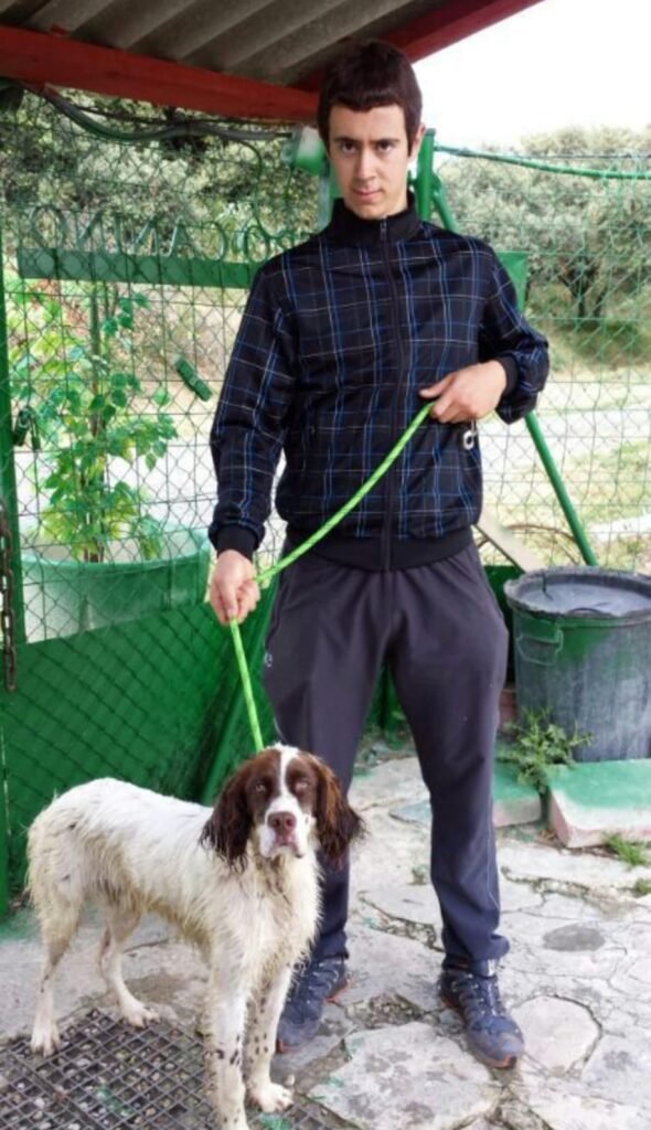 setter becaderos